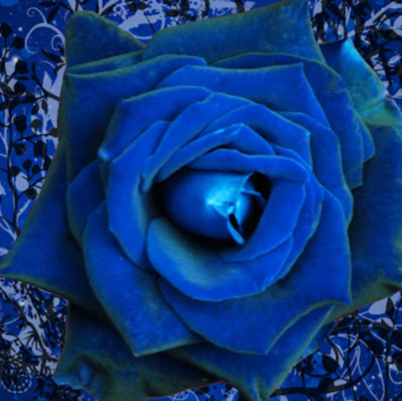 Meet your Posher, Dance - Picture 1 of 1